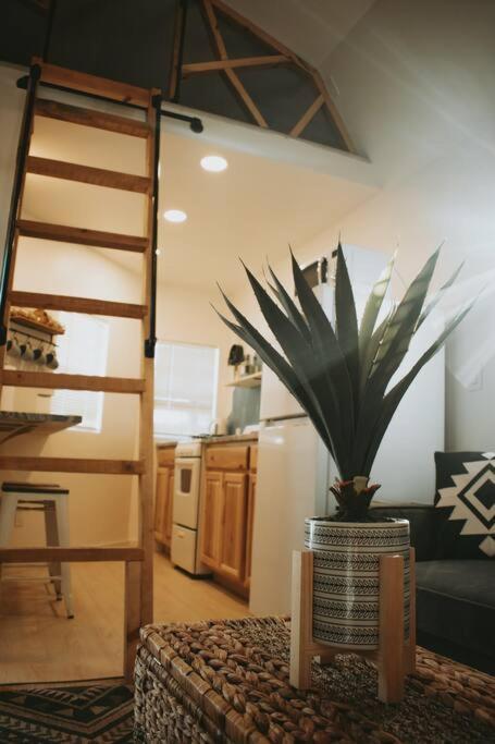 Agave Tiny House At Cactus Flower-Hot Tub-Pet Friendly-No Pet Fees! Albuquerque Exterior photo