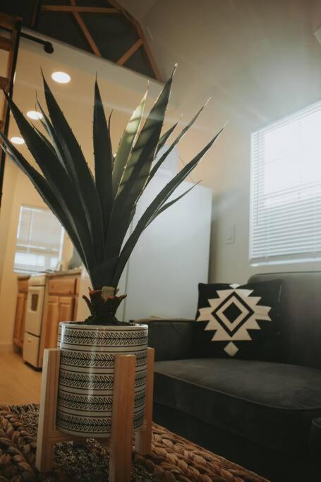 Agave Tiny House At Cactus Flower-Hot Tub-Pet Friendly-No Pet Fees! Albuquerque Exterior photo